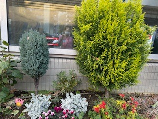 花のある景色